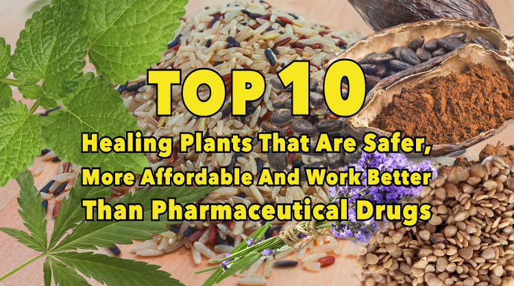 Top 10 plants that work better than pharmaceutical drugs