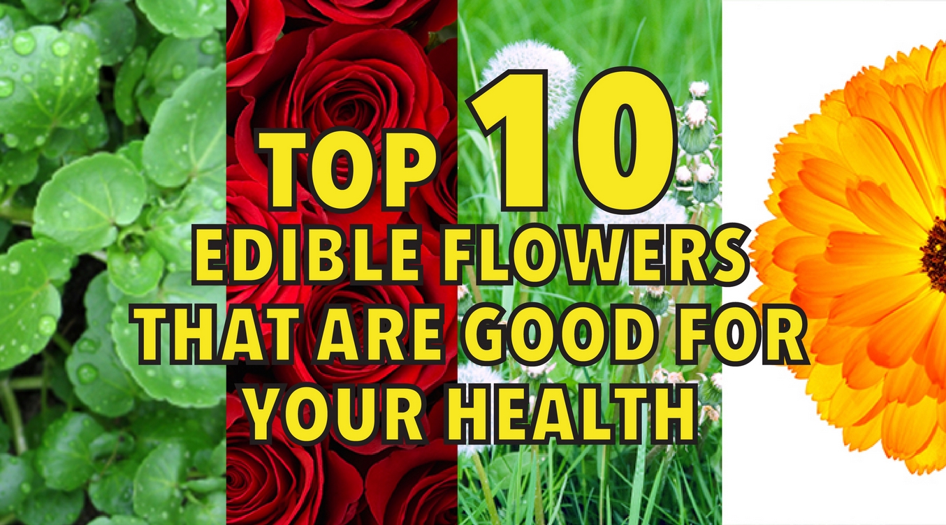 Top 10 edible flowers that are good for your health