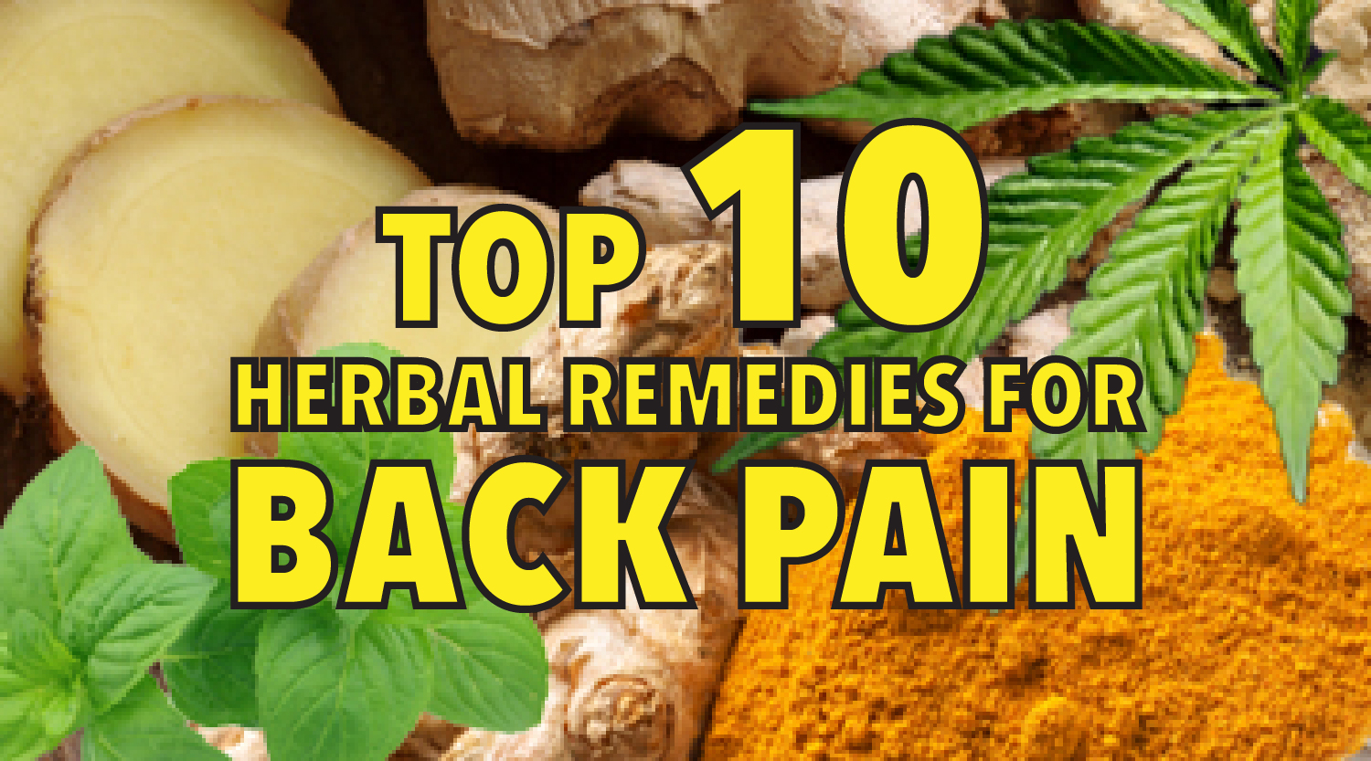 Top 10 herbal remedies for back pain