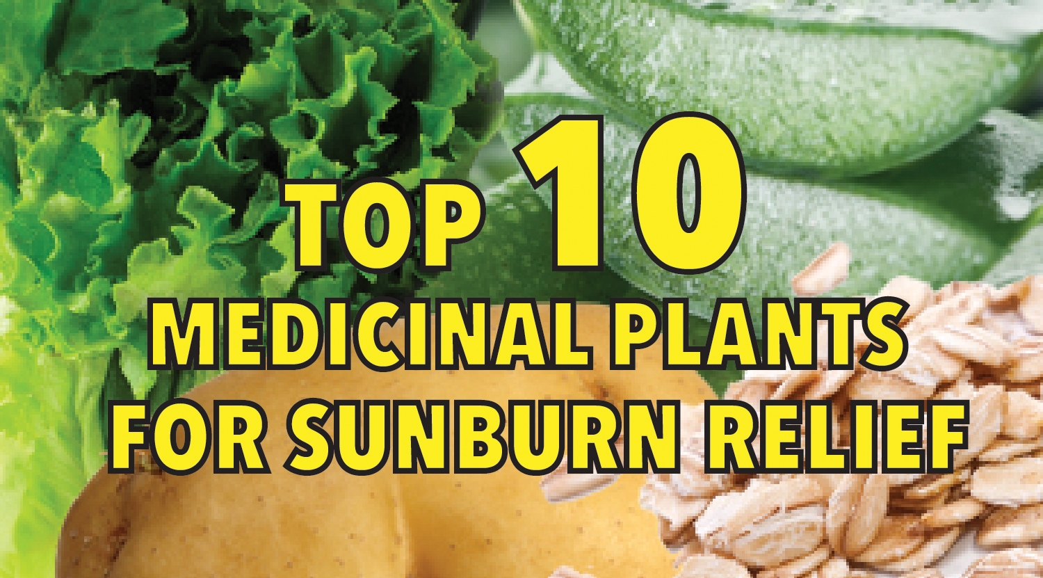 Top 10 medicinal plants for sunburn relief