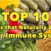 top10foodnaturallyboostimmunesystem