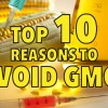 Top 10 reasons to avoid GMOs