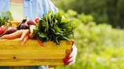 Senior-Woman-Holding-Box-Vegetables